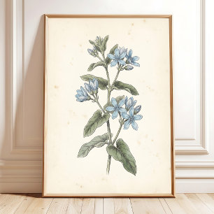 Vintage Botanisk Galleri Väggtavla Canvastryck Poster