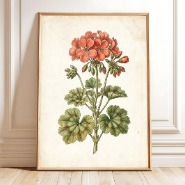 Vintage Botanisk Geranium Hemdekor Poster