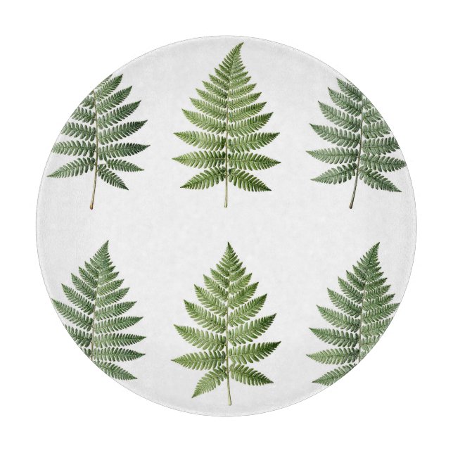 Vintage botanisk illustration av ormbunksblad (Framsidan)