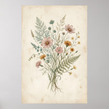 Vintage botanisk illustration av vildblommor
