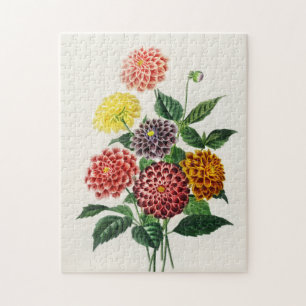 Vintage botanisk illustration Dahlior 250 stycken Pussel