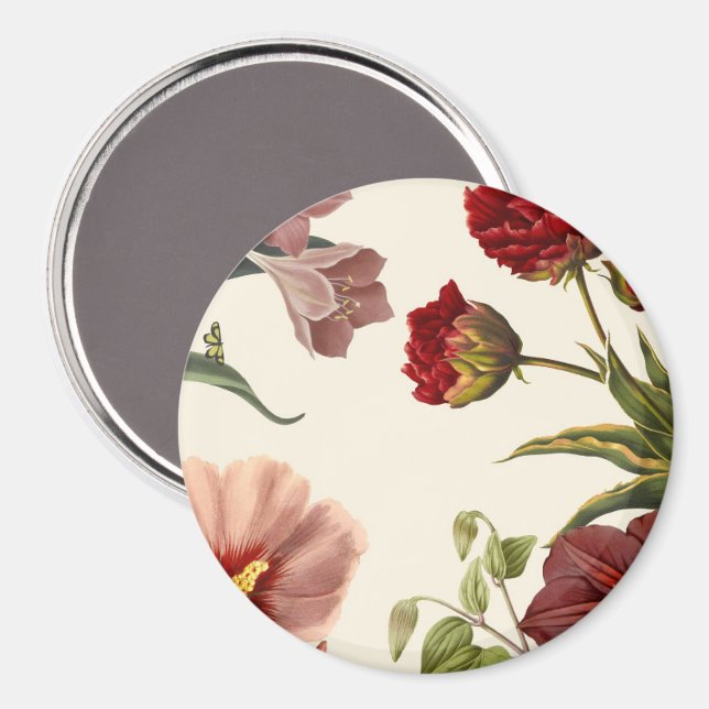 Vintage botanisk illustration med diverse  magnet (Front/Back)