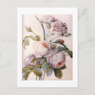 vintage botanisk illustration, rosa ros vykort