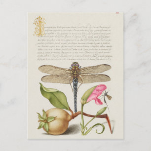 Vintage botanisk illustration vykort