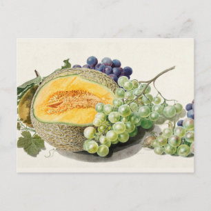 Vintage botanisk illustration vykort