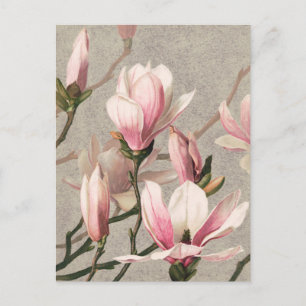 Vintage botanisk illustrations vykort