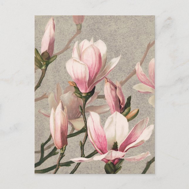 Vintage botanisk illustrations vykort (Framsida)