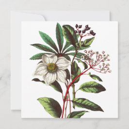 Vintage Botanisk jul Ro Flower Bouquet