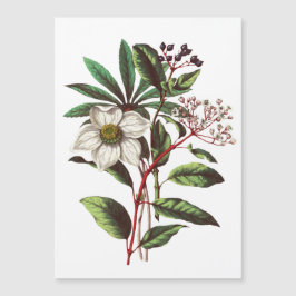 Vintage Botanisk jul Ro Flower Bouquet