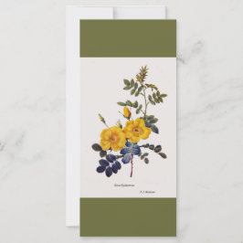 Vintage botanisk konst gul ros blommor bokmärke