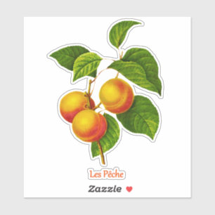 Vintage Botanisk konst - Persikor och Löv Klistermärken