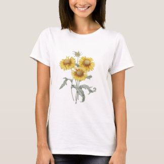 Vintage botanisk konst solrosor. P.J. Redoute. Tee