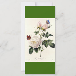 Vintage botanisk konst vit ros blommor bokmärke