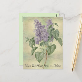Vintage Botanisk Lila Lilac Syringa Vulgaris Vykort