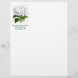 Vintage Botanisk sida - vit Hydrangea