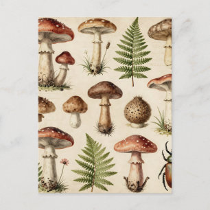 Vintage botanisk svamp ormbunks collage vykort