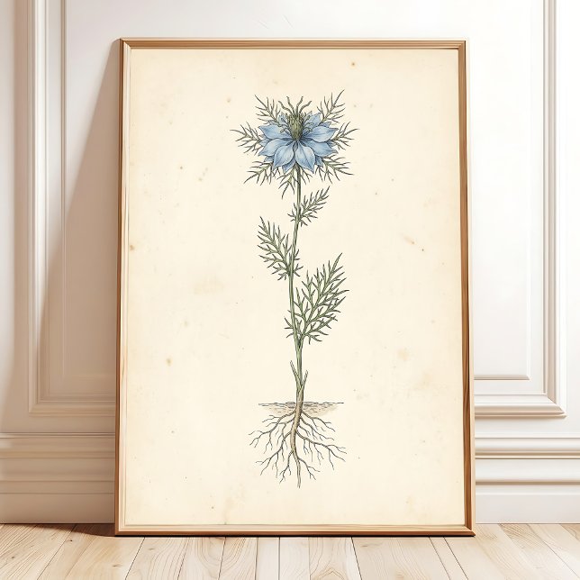 Vintage Botanisk Tryck Canvas Konst (Skapare uppladdad)