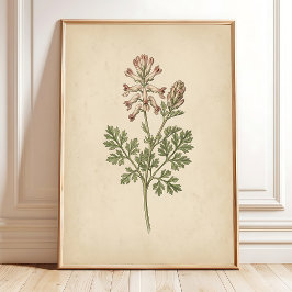 Vintage Botanisk Tryck Väggkonst Boho Stil