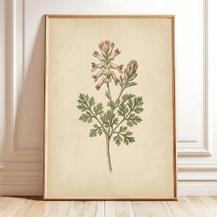 Vintage Botanisk Tryck Väggkonst Boho Stil