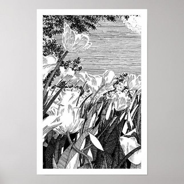 Vintage botanisk tulpåker linjekonst ritning poster (Framsidan)
