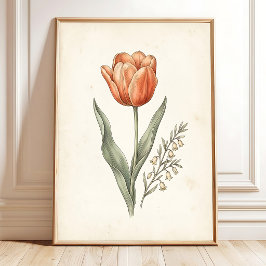 Vintage Botanisk Tulpan Konsttryck Poster