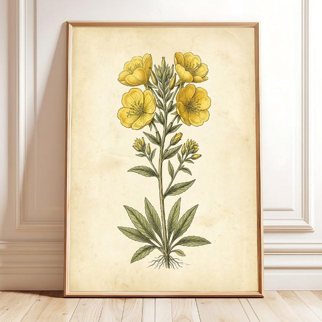 Vintage Botanisk Väggkonsttryck Poster (Skapare uppladdad)