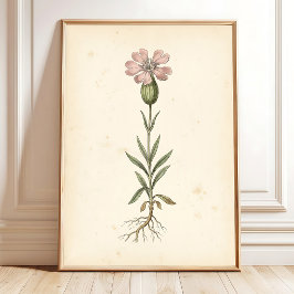Vintage Botanisk Väggutskriftsgalleri Poster