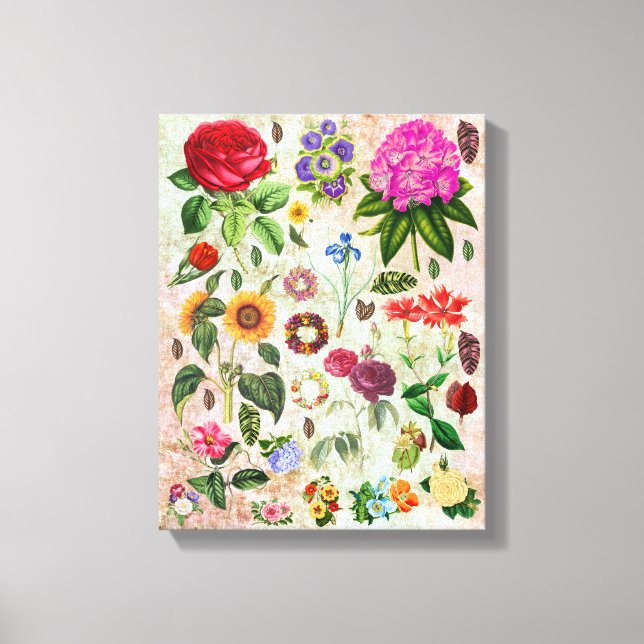 Vintage Botaniska blomillustrationer Naturart Canvastryck (Framsida)
