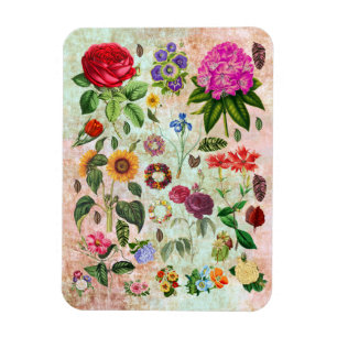 Vintage Botaniska blomillustrationer Naturart Magnet