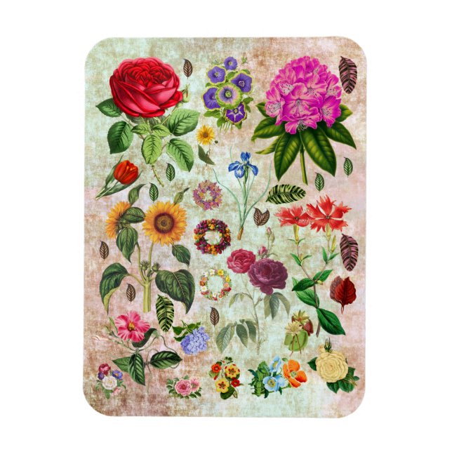 Vintage Botaniska blomillustrationer Naturart Magnet (Vertikal)