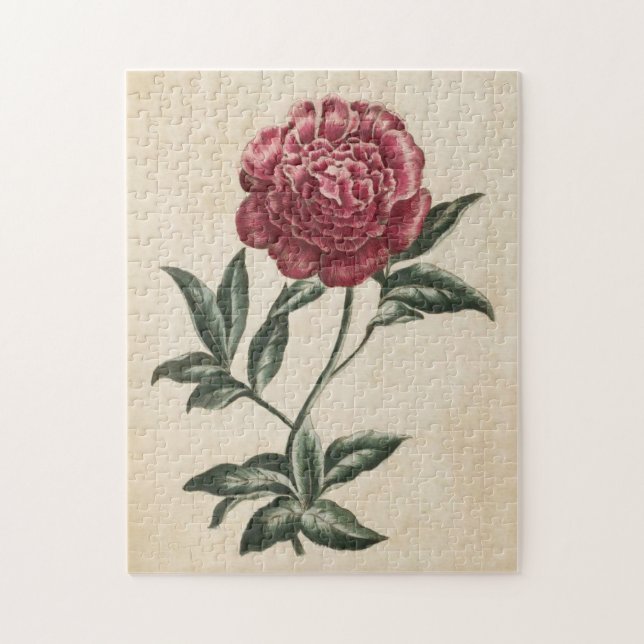Vintage Botaniska Blommigten Peony Pussel (Vertikal)