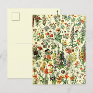 Vintage Botaniska Blommor vykort