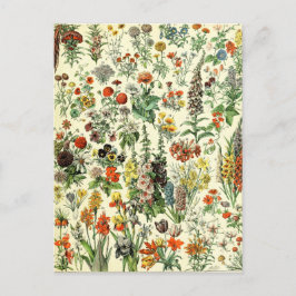 Vintage Botaniska Blommor vykort