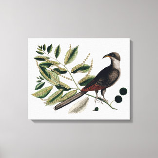 Vintage (botaniska) canvas
