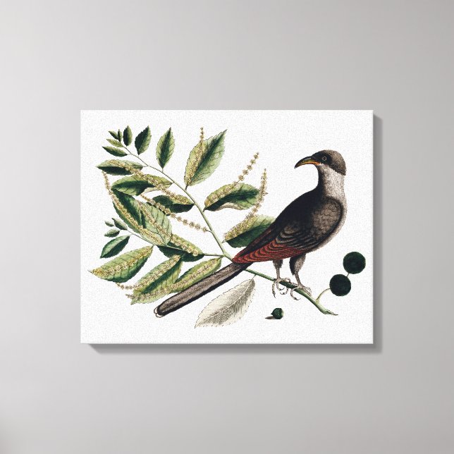 Vintage (botaniska) canvas (Framsida)