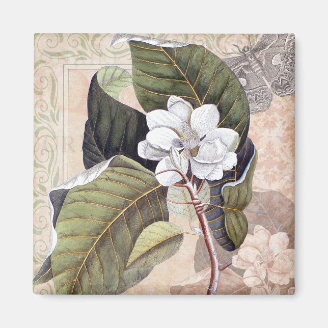 Vintage Botaniska Eleganten Södra Magnolia Magnet (Framsidan)