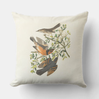 Vintage Botaniska Fåglar Illustration Kuddvar Kudde