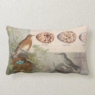 Vintage Botaniska fåglar Nest Eggs Grått Ephemer Lumbarkudde