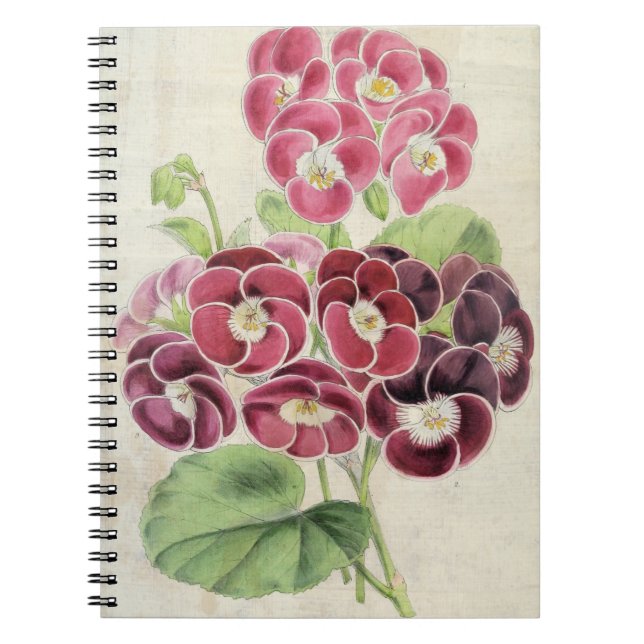 Vintage Botaniska Finare Pelargoniums Anteckningsbok (Framsidan)