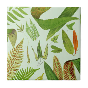 Vintage Botaniska franc Kakelplatta