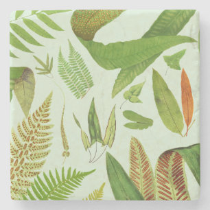 Vintage Botaniska franc Stenunderlägg