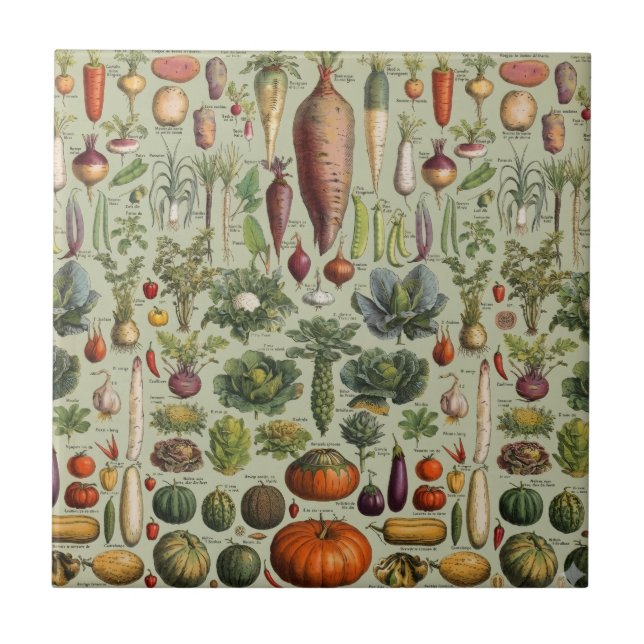 vintage botaniska franska trädgårdsgrönsaker  kakelplatta (Framsidan)