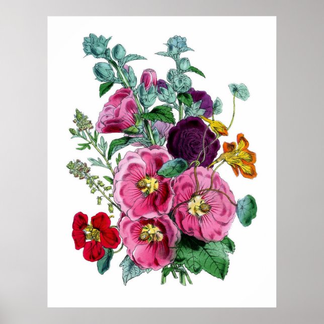 Vintage Botaniska Hollyhocks Poster (Framsidan)