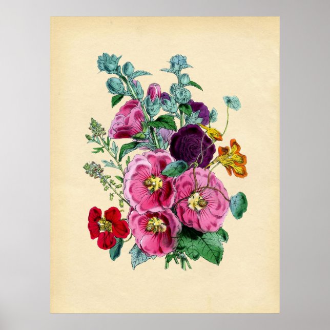 Vintage Botaniska Hollyhocks Poster (Framsidan)