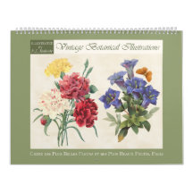Vintage Botaniska Illustrationer 2027