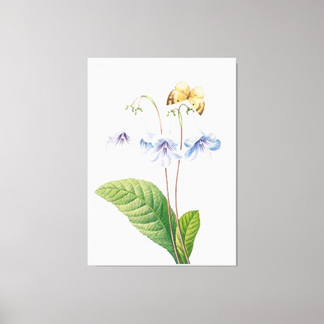 Vintage botaniska illustrationer canvastryck (Framsida)