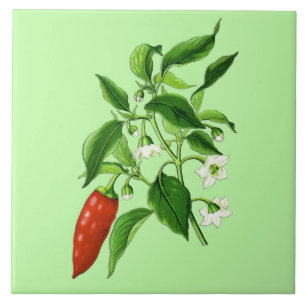 Vintage botaniska illustrationer, chili peppar kakelplatta