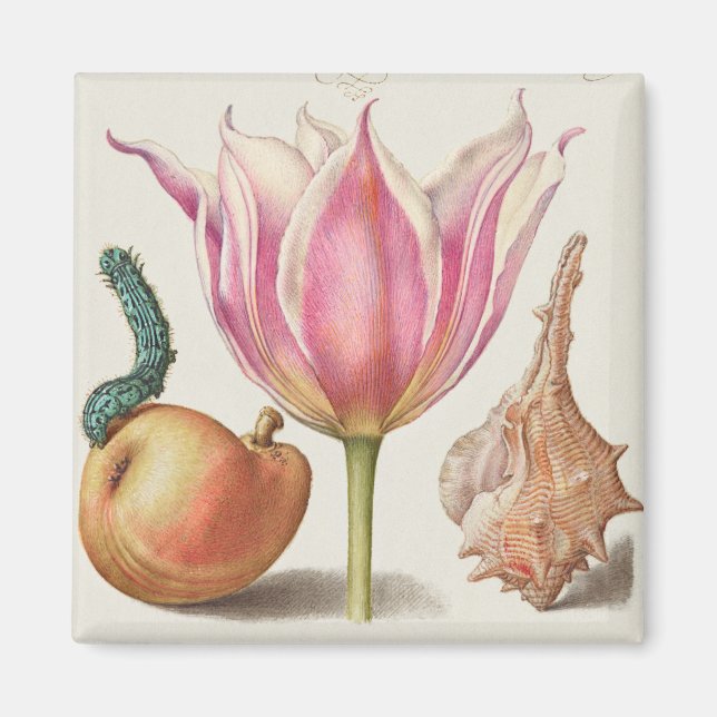 Vintage botaniska illustrationer magnet (Framsidan)