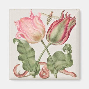 Vintage botaniska illustrationer magnet