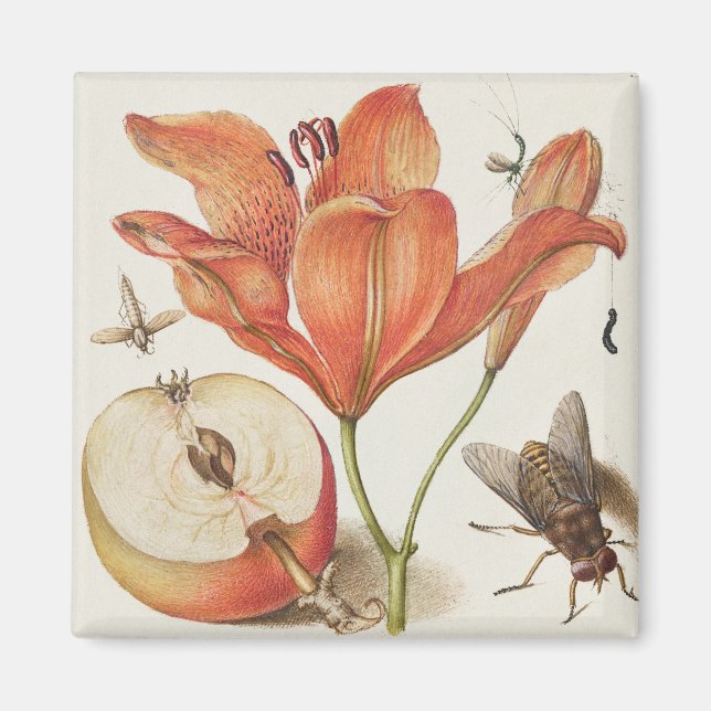 Vintage botaniska illustrationer magnet (Framsidan)